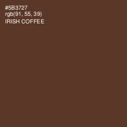 #5B3727 - Irish Coffee Color Image